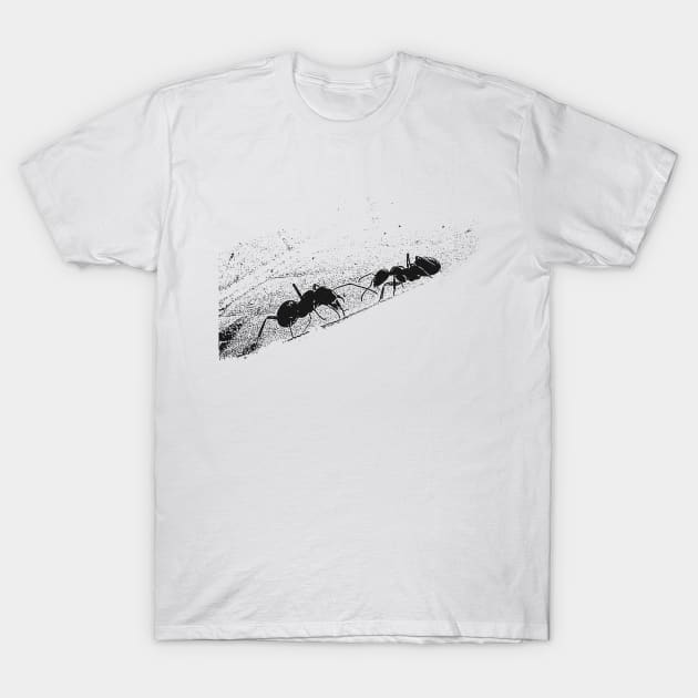 Ants T-Shirt by Guardi